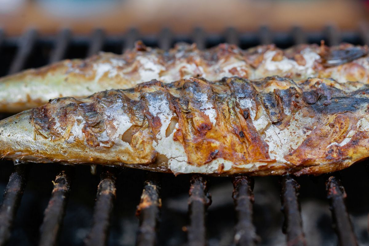 Grilled sea bream, chermoula